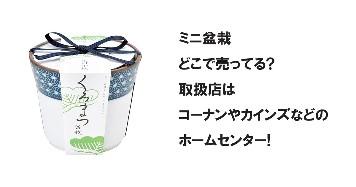 ミニ盆栽どこで売ってる?取扱店はコーナンやカインズなどのホームセンター!