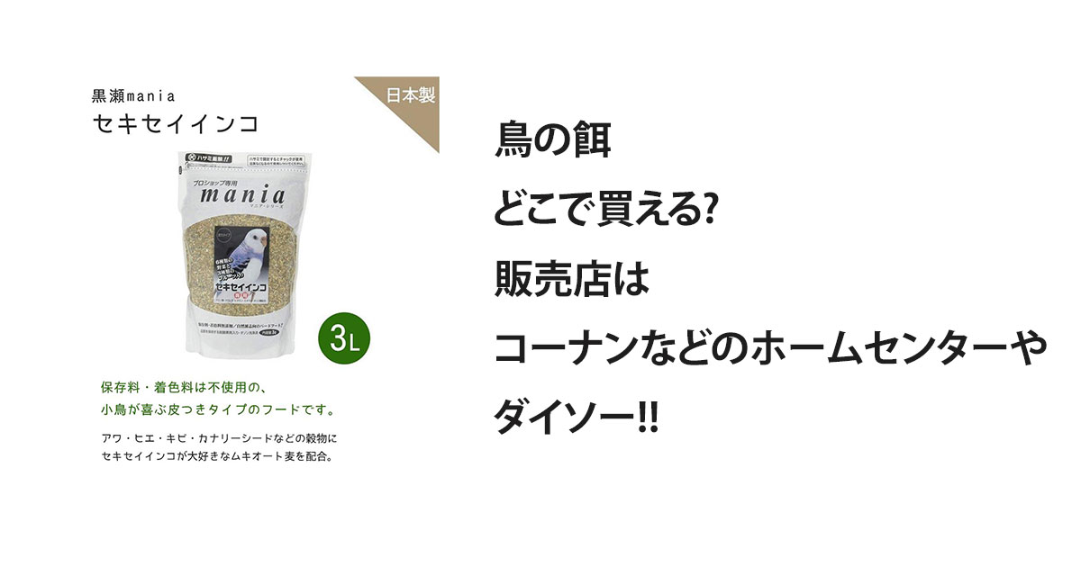 鳥の餌どこで買える?販売店はコーナンなどのホームセンターやダイソー!!